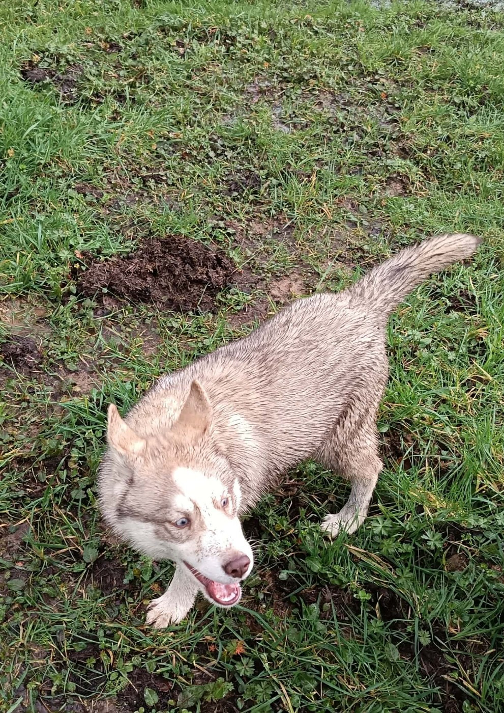 Arkaïa L'Ame Sauvage